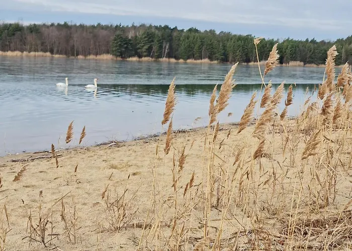 بيت للعطل Frieda Kiebitzsee *